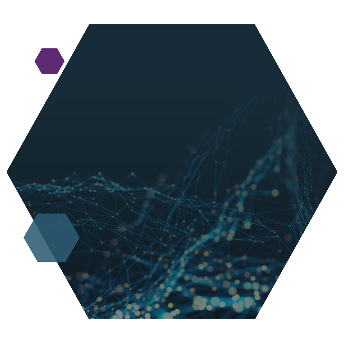 JNE Partners Header Image