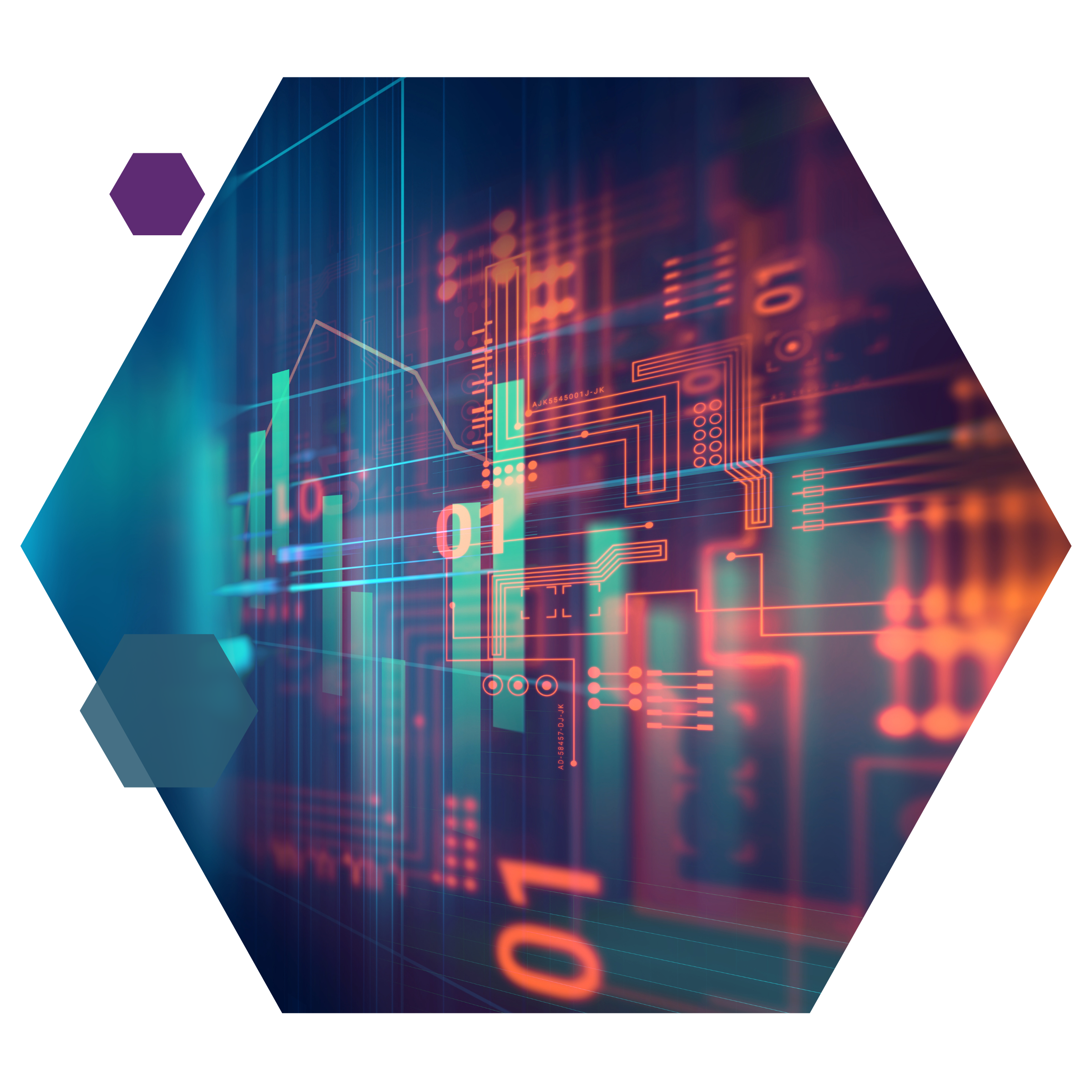 ProMeritum Investment Management Press Release