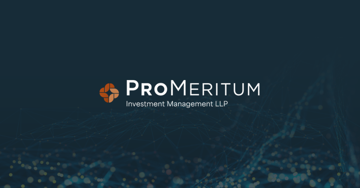 ProMeritum Investment Management selects HUB